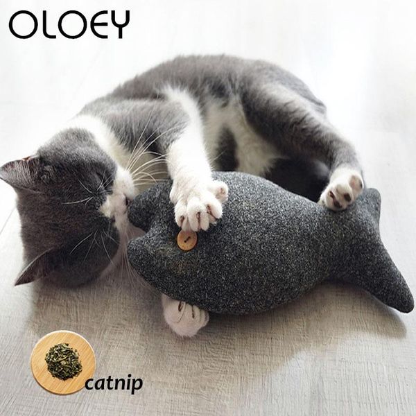 cat toys soft plush pet for fish shape teeth grinding catnip interactive gifts stuffed pillow kitten chewing playing supplie
cat toys soft plush pet for fish shape teeth grinding catnip interactive gifts stuffed pillow kitten chewing playing supplie