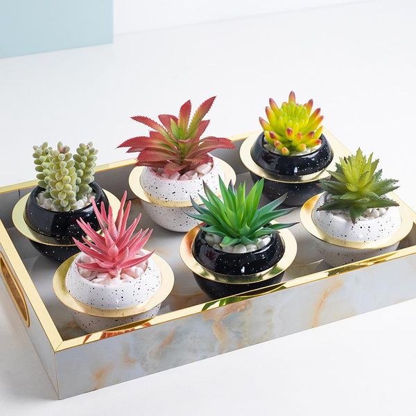 nordic style succulent fake flower ceramic potted plants creative craftwork home living room office deskdecoration gifts decorative flow
nordic style succulent fake flower ceramic potted plants creative craftwork home living room office deskdecoration gifts decorative flow
