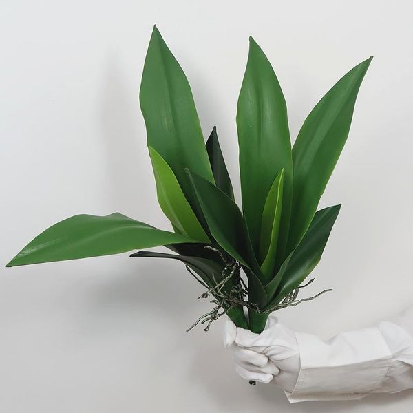 imitation plant feel phalaenopsis leaves cymbidium home decoration flower arrangement with ornaments decorative flowers & wreat
imitation plant feel phalaenopsis leaves cymbidium home decoration flower arrangement with ornaments decorative flowers & wreat