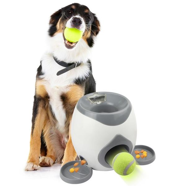 other bird supplies pet ball launcher toys interactive machine training thrower funny elastic tennis reward slow feeder
other bird supplies pet ball launcher toys interactive machine training thrower funny elastic tennis reward slow feeder