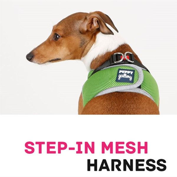 small and medium-sized dog vest-type harness breathable mesh teddy greyhound puppies dachshund accessories collars & leashes
small and medium-sized dog vest-type harness breathable mesh teddy greyhound puppies dachshund accessories collars & leashes