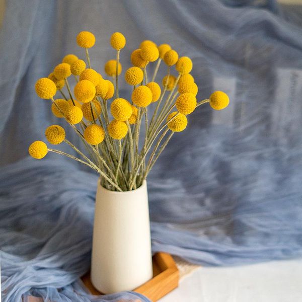 decorative flowers & wreaths 20pcs dried golden orbs natural preserved flower wedding marriage decoration dry craspedia billy balls home liv
decorative flowers & wreaths 20pcs dried golden orbs natural preserved flower wedding marriage decoration dry craspedia billy balls home liv