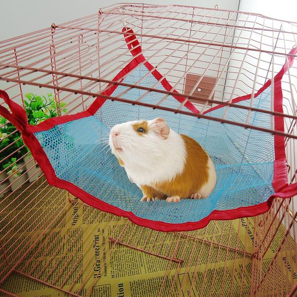 pet cat hammock with breathable mesh summer big hamsters cages chair under the funny stick squirrel bed small animal supplies
pet cat hammock with breathable mesh summer big hamsters cages chair under the funny stick squirrel bed small animal supplies
