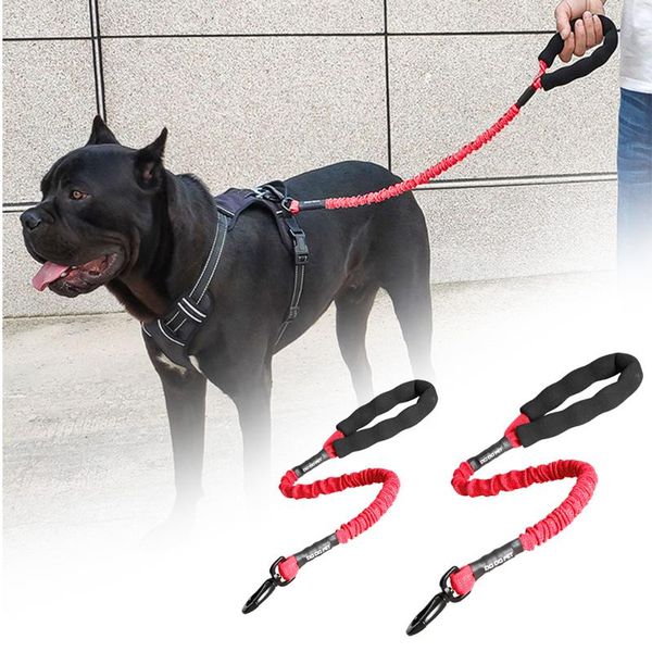 dog collars & leashes pet bungee leash nylon elastic rope running training mountain climbing for small large dogs
dog collars & leashes pet bungee leash nylon elastic rope running training mountain climbing for small large dogs