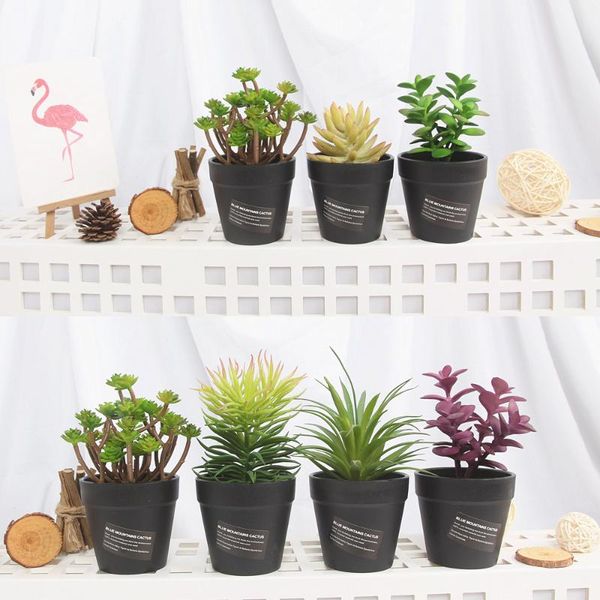 zinmol 1 set artificial plastic flower with black vase cute flowers home decoration succulents plant green leaves decorative & wreaths
zinmol 1 set artificial plastic flower with black vase cute flowers home decoration succulents plant green leaves decorative & wreaths