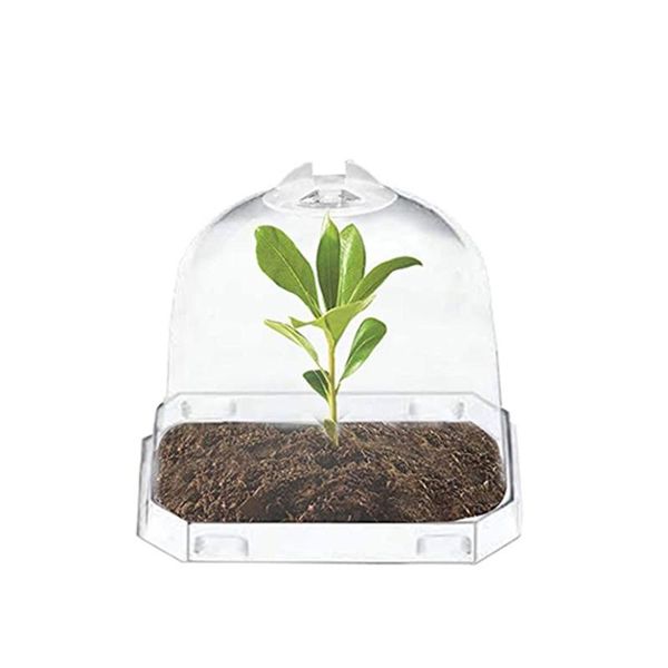 other garden supplies protective mini greenhouse reusable plastic plant covers frost guard e protection for
other garden supplies protective mini greenhouse reusable plastic plant covers frost guard e protection for