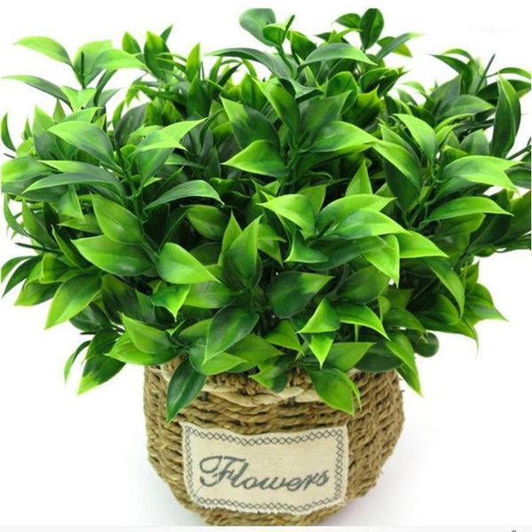 decorative flowers & wreaths 7 branches green artificial plants for garden bushes fake grass eucalyptus orange leaves faux plant home shop d
decorative flowers & wreaths 7 branches green artificial plants for garden bushes fake grass eucalyptus orange leaves faux plant home shop d