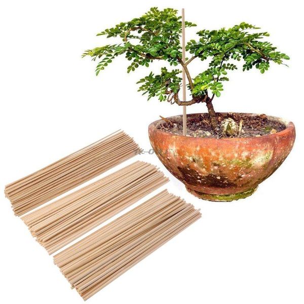 other garden supplies 50 wooden plant grow support bamboo sticks canes plants flower stick cane
other garden supplies 50 wooden plant grow support bamboo sticks canes plants flower stick cane