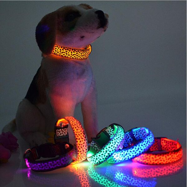 dog collars & leashes adjustable led light glow pet collar leopard nylon cat night safety luminous flashing necklace glowing neck belt . 
dog collars & leashes adjustable led light glow pet collar leopard nylon cat night safety luminous flashing necklace glowing neck belt .