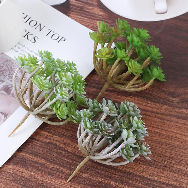 decorative flowers & wreaths 24 heads artificial plant fake succulent landscape land lotus rare plants flower diy home garden wedding decora
decorative flowers & wreaths 24 heads artificial plant fake succulent landscape land lotus rare plants flower diy home garden wedding decora