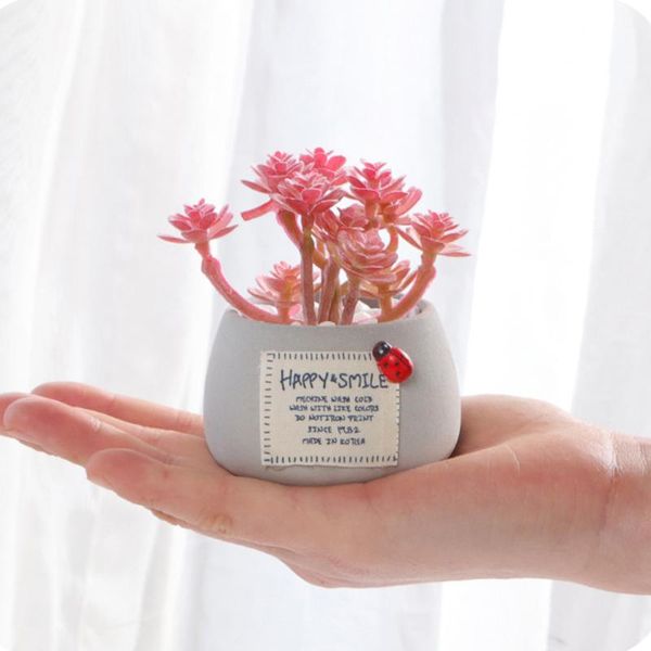 indoor accessories with pot artificial succulent plants deskbonsai potted home decor bath wedding party ornament gift office decorative
indoor accessories with pot artificial succulent plants deskbonsai potted home decor bath wedding party ornament gift office decorative