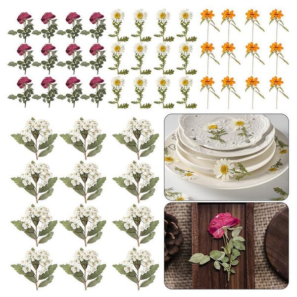 decorative flowers & wreaths 12pc real dried flower dry plants for candle epoxy resin pendant necklace jewelry making craft diy
decorative flowers & wreaths 12pc real dried flower dry plants for candle epoxy resin pendant necklace jewelry making craft diy