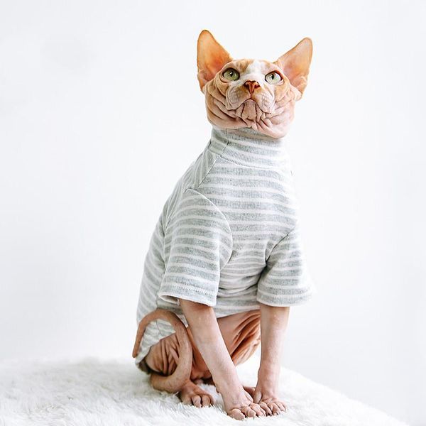 hairless cat clothes high-quality cotton high-neck bottoming shirt spring and autumn german accessories costumes
hairless cat clothes high-quality cotton high-neck bottoming shirt spring and autumn german accessories costumes