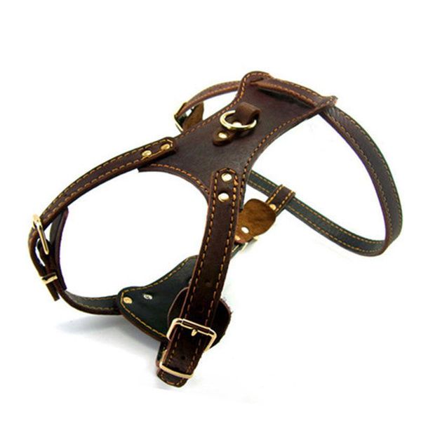 dog collars & leashes hswll double padded large first layer leather chest back working pectoral special collar silver
dog collars & leashes hswll double padded large first layer leather chest back working pectoral special collar silver
