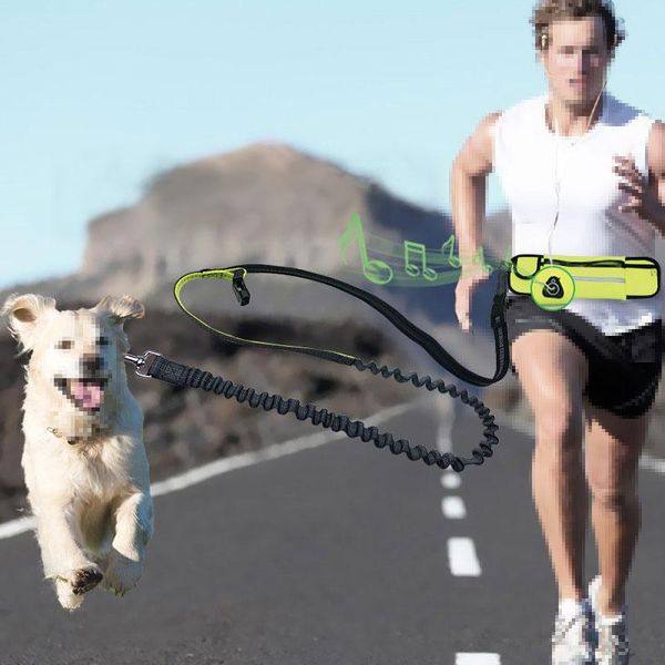adjustable hand dog leash with waist bag for pet walking running jogging lead belt chest strap collars & leashes
adjustable hand dog leash with waist bag for pet walking running jogging lead belt chest strap collars & leashes