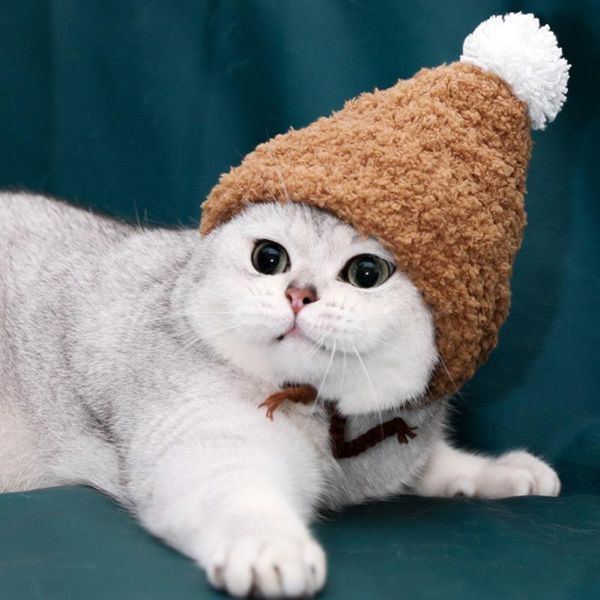 cat costumes christmas hand-knitted cute hat pet clothing crossover small dog headgear
cat costumes christmas hand-knitted cute hat pet clothing crossover small dog headgear