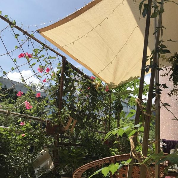 shade high density sun shelter awning sail roof car fence shading net succulent plant cover garden yard pet safty
shade high density sun shelter awning sail roof car fence shading net succulent plant cover garden yard pet safty