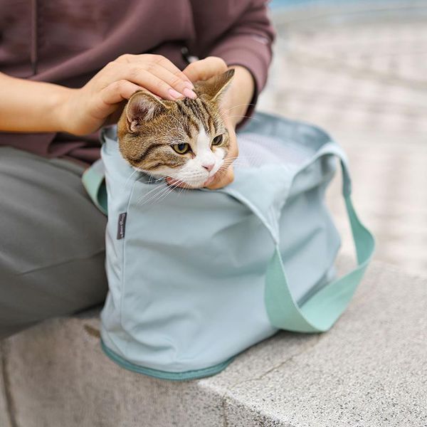 cat carriers,crates & houses foldable puppy small dogs carrier light weight pet outdoor hand bag portable waterproof shoulder
cat carriers,crates & houses foldable puppy small dogs carrier light weight pet outdoor hand bag portable waterproof shoulder
