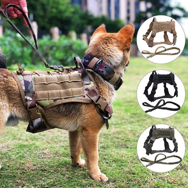 dog apparel adjustable tactical service vest training hunting molle water-resistan military harness with handle #2
dog apparel adjustable tactical service vest training hunting molle water-resistan military harness with handle #2