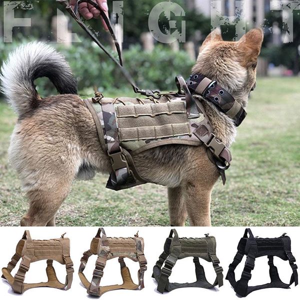 dog apparel harness german shepherd pet vest with handle nylon bungee leash for small large dogs puppy
dog apparel harness german shepherd pet vest with handle nylon bungee leash for small large dogs puppy