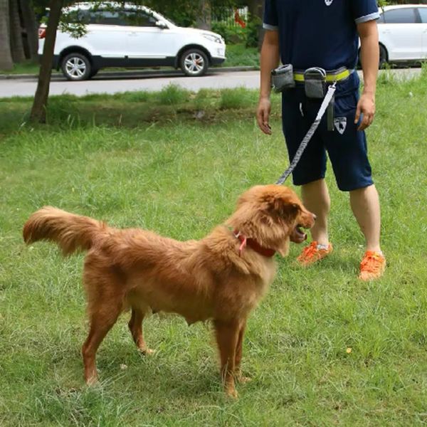 dog collars & leashes multifunction walking leash strap set hands-collar nylon sports pet belt pouches host puppy jogging harnes
dog collars & leashes multifunction walking leash strap set hands-collar nylon sports pet belt pouches host puppy jogging harnes