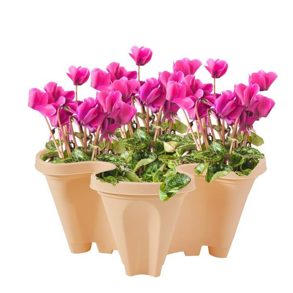 succulent planter pots flower cactus pot indoor outdoor home garden kitchen decor decorative gardening all house plants planters &
succulent planter pots flower cactus pot indoor outdoor home garden kitchen decor decorative gardening all house plants planters &