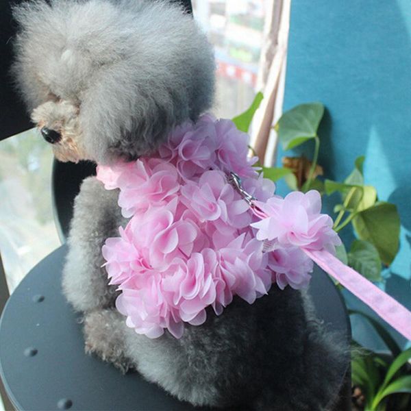 dog collars & leashes pet harnesses leash set pink breathable stereo flower harness small puppy vest accessory
dog collars & leashes pet harnesses leash set pink breathable stereo flower harness small puppy vest accessory