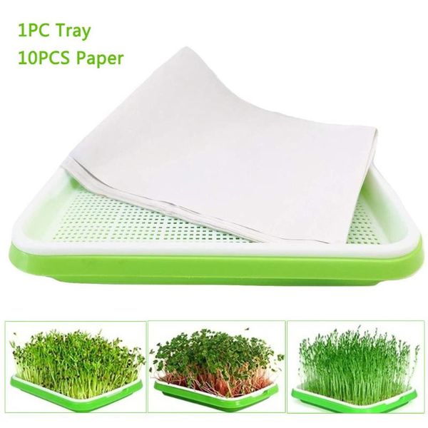 planters & pots home hydroponic double layer seedling tray arc wall-mounted green soilless cultivation for gardening bonsai cat grass
planters & pots home hydroponic double layer seedling tray arc wall-mounted green soilless cultivation for gardening bonsai cat grass