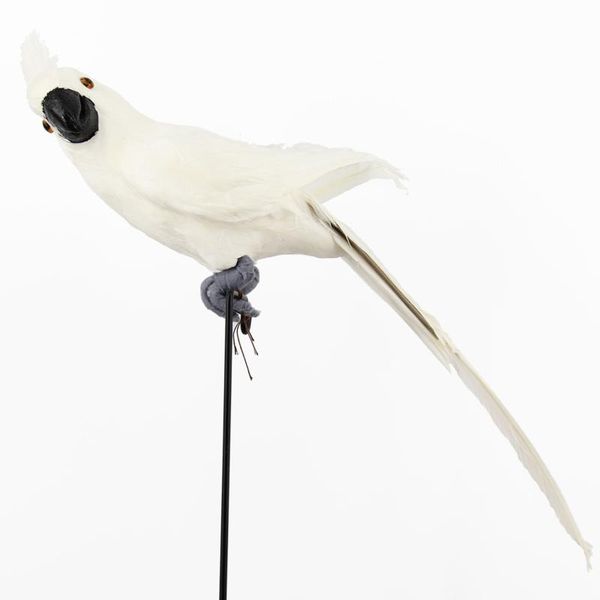 decorative objects & figurines 1 piece of artificial 3d simulation bird feather parrot diy party crafts props home garden decoration wedding
decorative objects & figurines 1 piece of artificial 3d simulation bird feather parrot diy party crafts props home garden decoration wedding