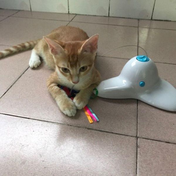 cat toys 3pcs electric flutter rotating butterfly refills teaser toy replacement part
cat toys 3pcs electric flutter rotating butterfly refills teaser toy replacement part