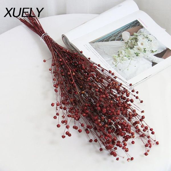 bunch dried flowers gypsophila baby's breath flower acacia beans home decor wedding decoration background layout decorative & wreaths
bunch dried flowers gypsophila baby's breath flower acacia beans home decor wedding decoration background layout decorative & wreaths