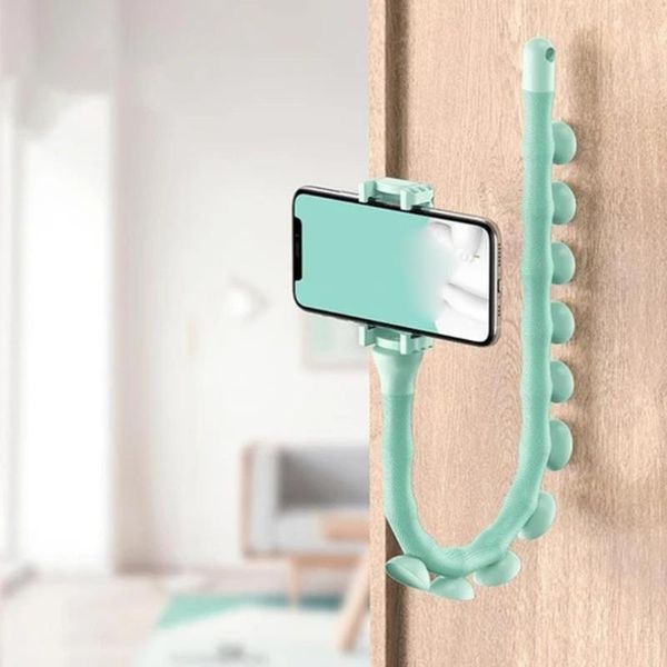 cell phone mounts & holders 2021 muur rups lui beugel mobiele telefoon houder worm flexibele zuignap stand voor thuis deskfiets
cell phone mounts & holders 2021 muur rups lui beugel mobiele telefoon houder worm flexibele zuignap stand voor thuis deskfiets