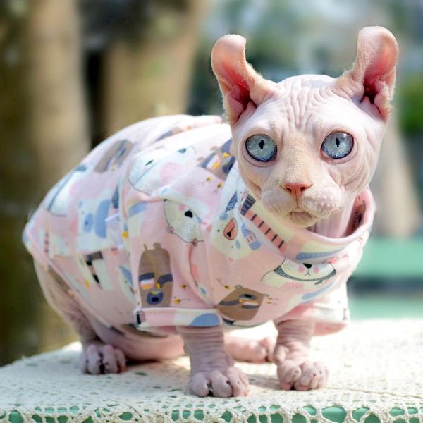 cat costumes hairless sphinx clothes german baby cotton comfortable and breathable two-legged pet anti-hair fall sweater coat
cat costumes hairless sphinx clothes german baby cotton comfortable and breathable two-legged pet anti-hair fall sweater coat
