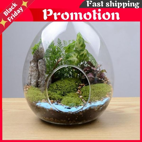 decorative flowers & wreaths 1pc creative egg-shaped glass bottles vase hydroponic fleshy micro landscape bottle moss home decoration
decorative flowers & wreaths 1pc creative egg-shaped glass bottles vase hydroponic fleshy micro landscape bottle moss home decoration