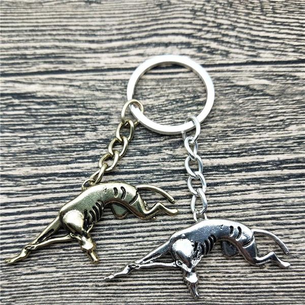 keychains italian greyhound key chains fashion pet dog jewellery car keychain bag keyring for women men, Silver
keychains italian greyhound key chains fashion pet dog jewellery car keychain bag keyring for women men, Silver