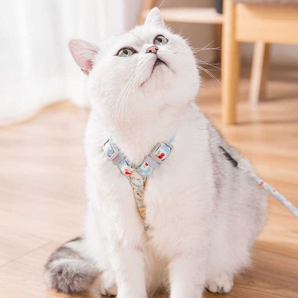 harness leash cute pet dog set chest strap breathable walking rope for small dogs vest cat collars & leads
harness leash cute pet dog set chest strap breathable walking rope for small dogs vest cat collars & leads