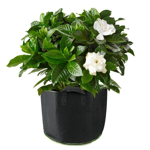 planters & pots planting grow bags non-woven fabric with handles eco friendly beauty bag tree growth seedling flower pot
planters & pots planting grow bags non-woven fabric with handles eco friendly beauty bag tree growth seedling flower pot