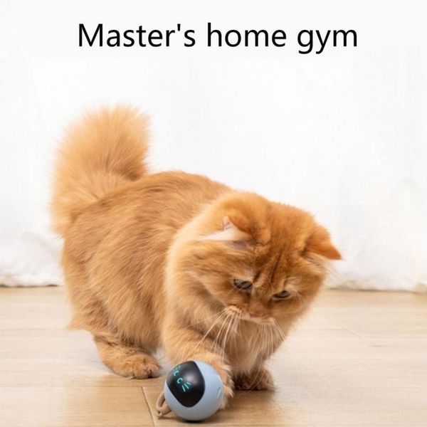 automatically pet cat toy smart self-biting funny catballs dreaming interactive dog toys anti-stress interative suplies
automatically pet cat toy smart self-biting funny catballs dreaming interactive dog toys anti-stress interative suplies