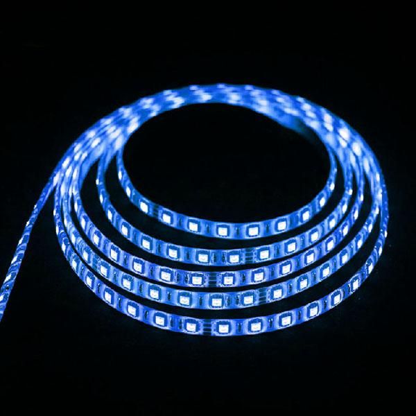 strips 12v led strip waterproof 1m/pc fiexible lights smd 60led/m blue color ip65 for decorate
strips 12v led strip waterproof 1m/pc fiexible lights smd 60led/m blue color ip65 for decorate