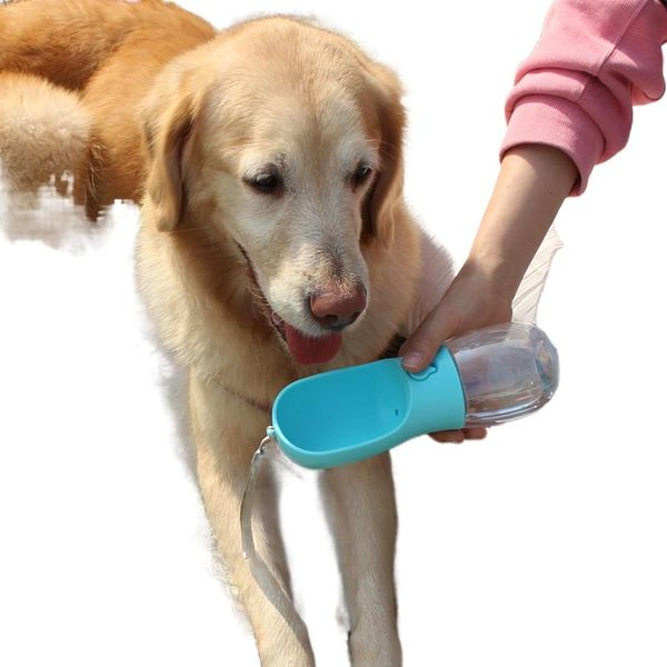 dog bowls & feeders kettle pet simple models abs sink leak-proof water lock button filter silicone sealing ring transparent pc body
dog bowls & feeders kettle pet simple models abs sink leak-proof water lock button filter silicone sealing ring transparent pc body