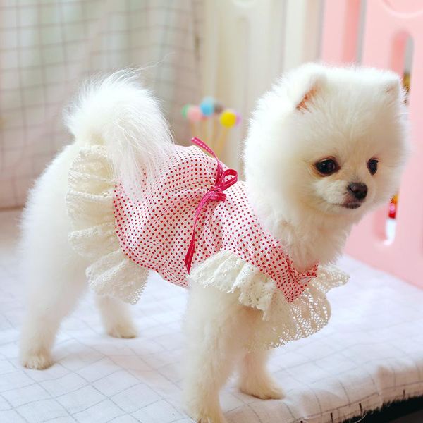 dog apparel spring dress princess for clothes lace chihuahua puppy outfits small party pet costume skirt
dog apparel spring dress princess for clothes lace chihuahua puppy outfits small party pet costume skirt