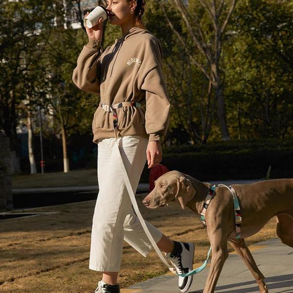 dog collars & leashes leash hands for dogs walking reflective elastic belt adjustable walker pet products
dog collars & leashes leash hands for dogs walking reflective elastic belt adjustable walker pet products