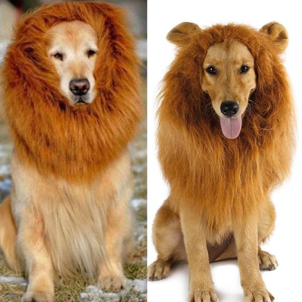 lion mane wig with ears for large dog halloween clothes fancy dress up pet costume supplies hug-deals apparel
lion mane wig with ears for large dog halloween clothes fancy dress up pet costume supplies hug-deals apparel