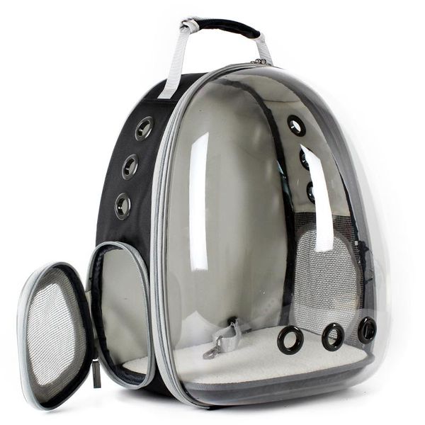 portable women cat backpack travel space luxury pet products dog accessories cats mascotas carrier bc car seat covers
portable women cat backpack travel space luxury pet products dog accessories cats mascotas carrier bc car seat covers