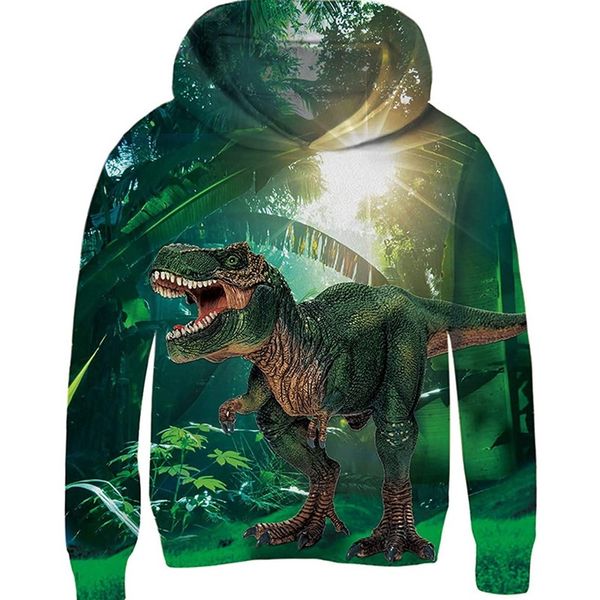 green tyrannosaurus pattern novelty hoodie for boys and girls 3d printing pullover hooded sweatshirt with pocket 100-160, Black
green tyrannosaurus pattern novelty hoodie for boys and girls 3d printing pullover hooded sweatshirt with pocket 100-160, Black