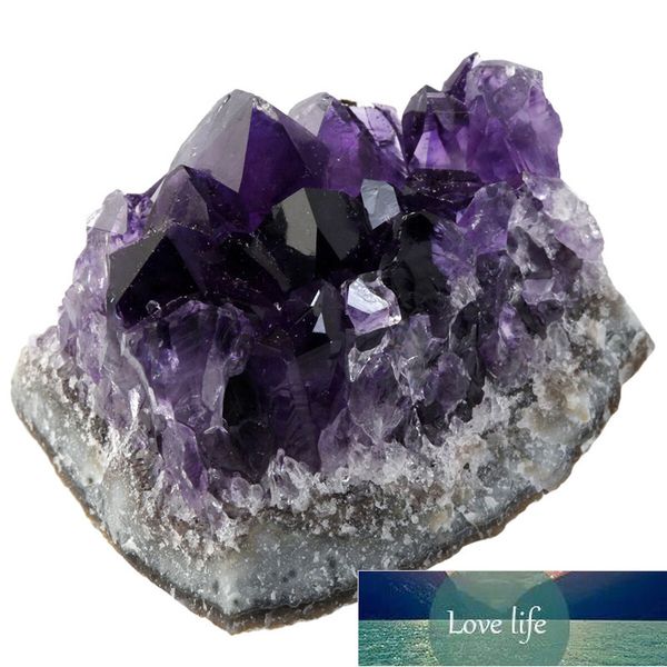 natural raw amethyst quartz crystal cluster healing stones specimen home decoration crafts piedras naturales y minerales
natural raw amethyst quartz crystal cluster healing stones specimen home decoration crafts piedras naturales y minerales