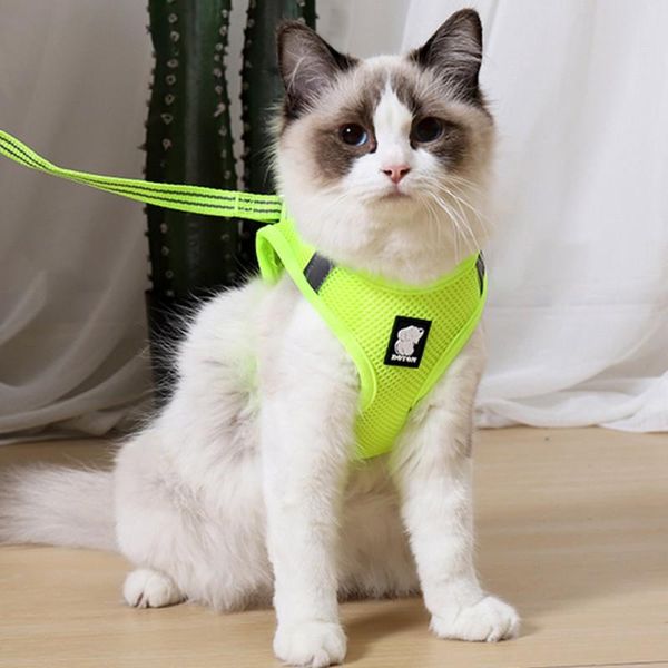 dog collars & leashes cat traction chest strap comfortable breathable belt rope adjustable anti-breaking pet supplies multicolor
dog collars & leashes cat traction chest strap comfortable breathable belt rope adjustable anti-breaking pet supplies multicolor