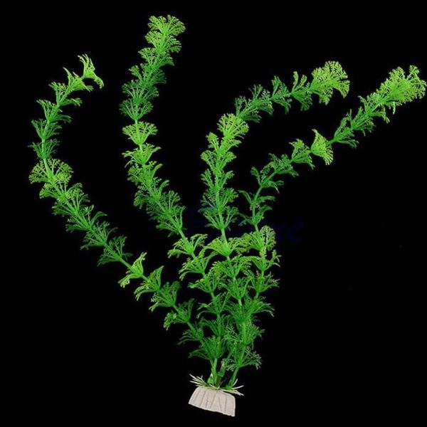 decorations 32cm artificial underwater plants aquarium fish tank decoration green purple water grass viewing
decorations 32cm artificial underwater plants aquarium fish tank decoration green purple water grass viewing