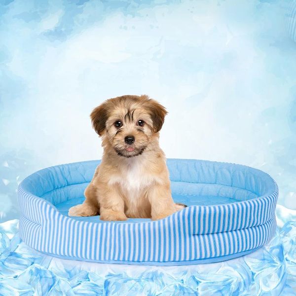 summer dog bed ice silk cooling mat breathable comfort for cats sleeping washable lounger dogs kennels & pens
summer dog bed ice silk cooling mat breathable comfort for cats sleeping washable lounger dogs kennels & pens