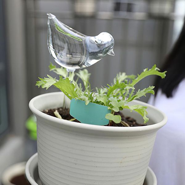watering equipments 2pcs garden water houseplant plant pot little bird automatic self device gardening tools and equipment
watering equipments 2pcs garden water houseplant plant pot little bird automatic self device gardening tools and equipment